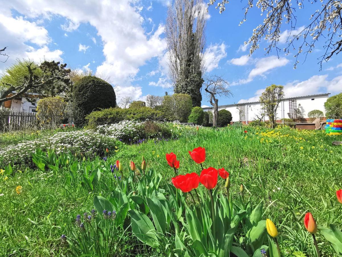 Bohnapartments Ega Stadtblick - Garten - Wlan - Naehe Theater Ega Und Messe 埃尔福特 外观 照片